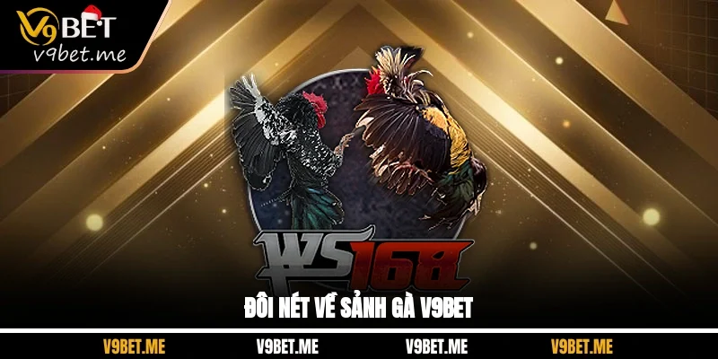Đôi nét về sảnh gà V9BET
