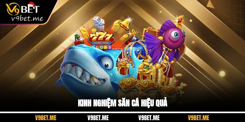 Kinh nghiệm săn cá hiệu quả