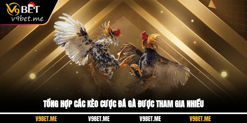 Tổng hợp các kèo cược đá gà được tham gia nhiều